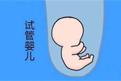 http://shaoxing.vdtfzz.com/post/194.html|绍兴新闻中心