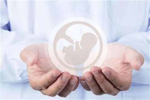 http://shaoxing.vdtfzz.com/post/214.html|绍兴人工试管